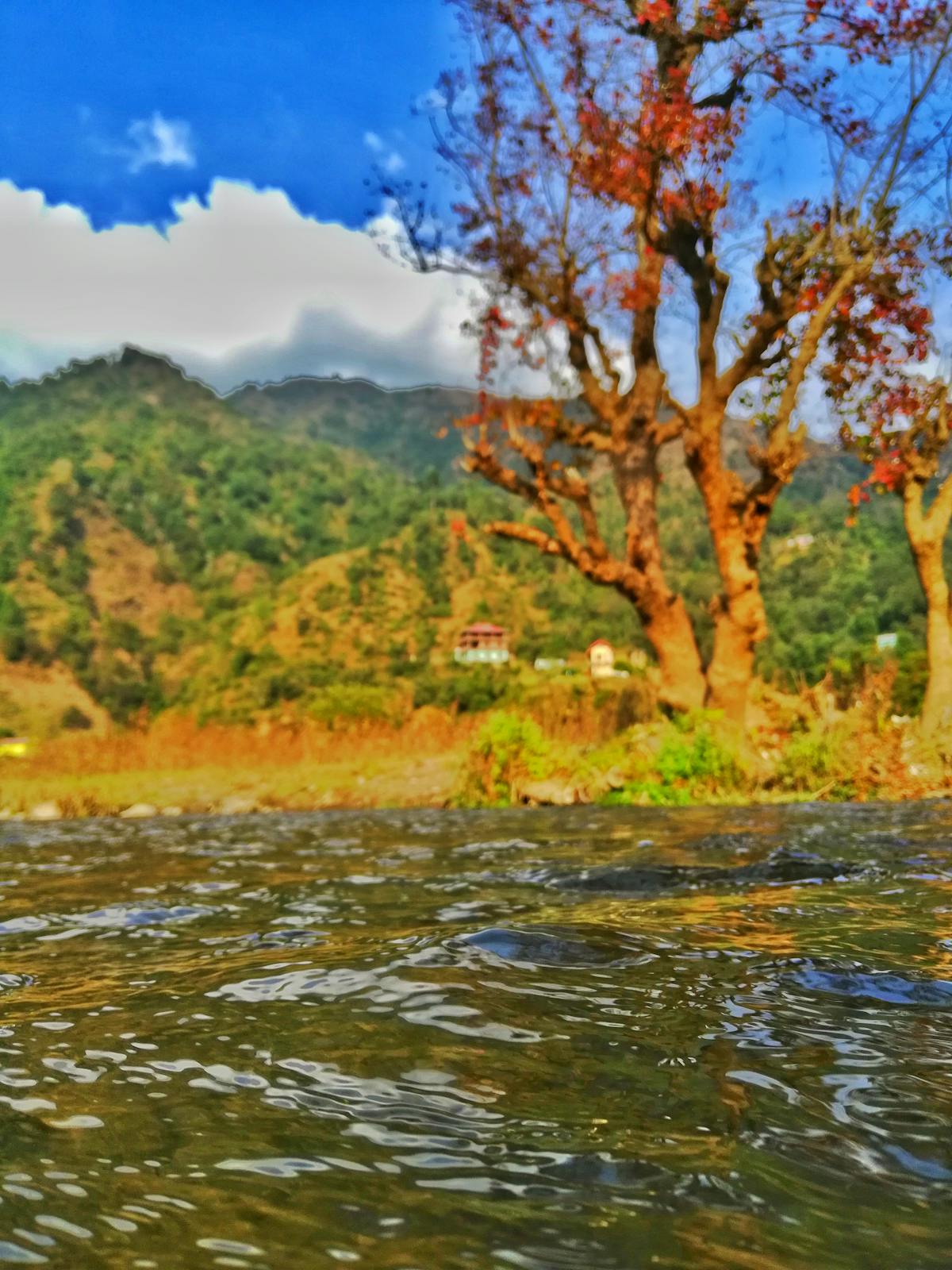 2026 GitHub Actions self-hosted macOS runner operations and dedicated Mac mini