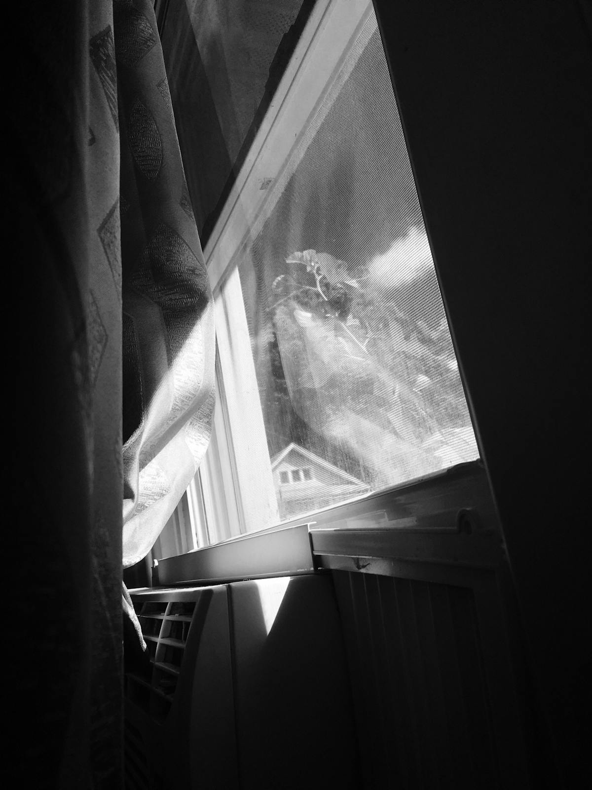 2026 OpenClaw install path guide: install.sh, npm, and Docker Compose