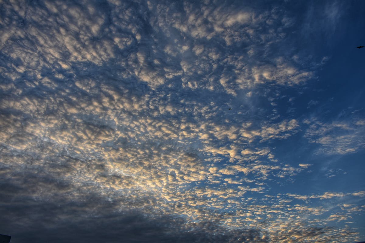 Configuration CI iOS sur Mac mini à distance