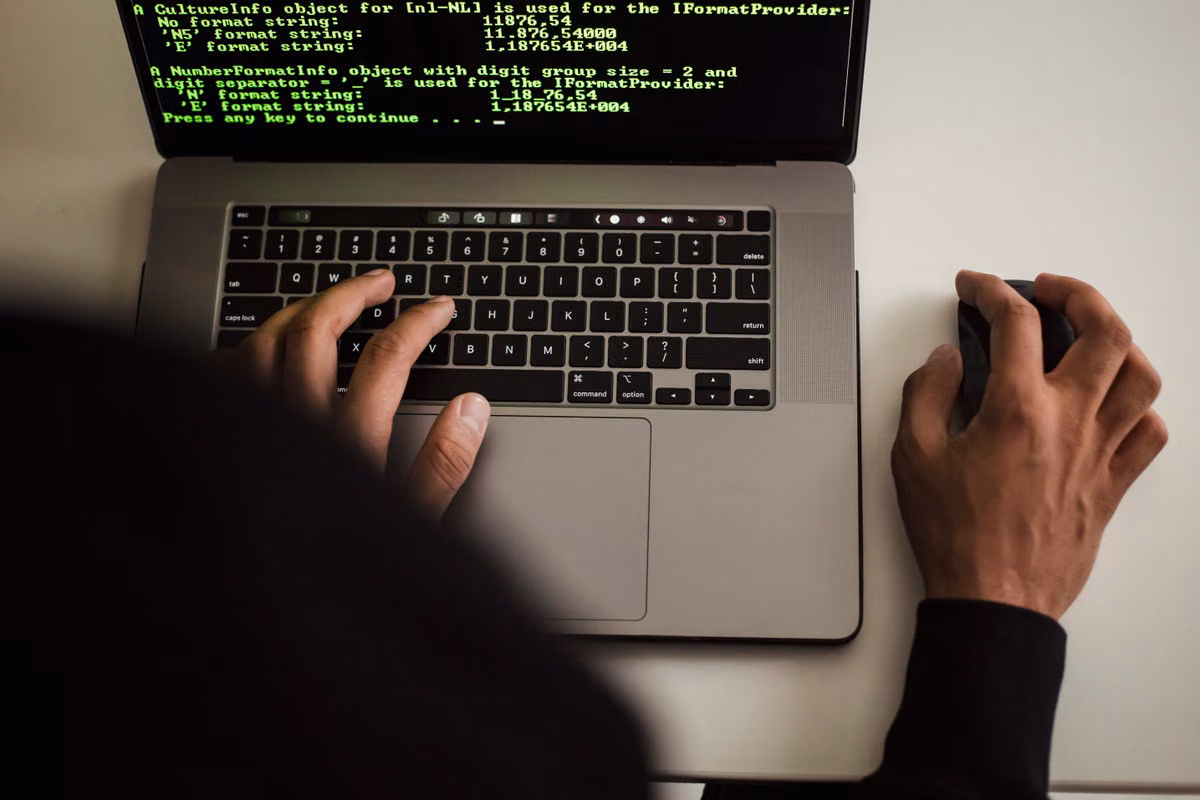 Ante 대 OpenCode: 2026년 오프라인 개발에는 무엇을 선택할까?