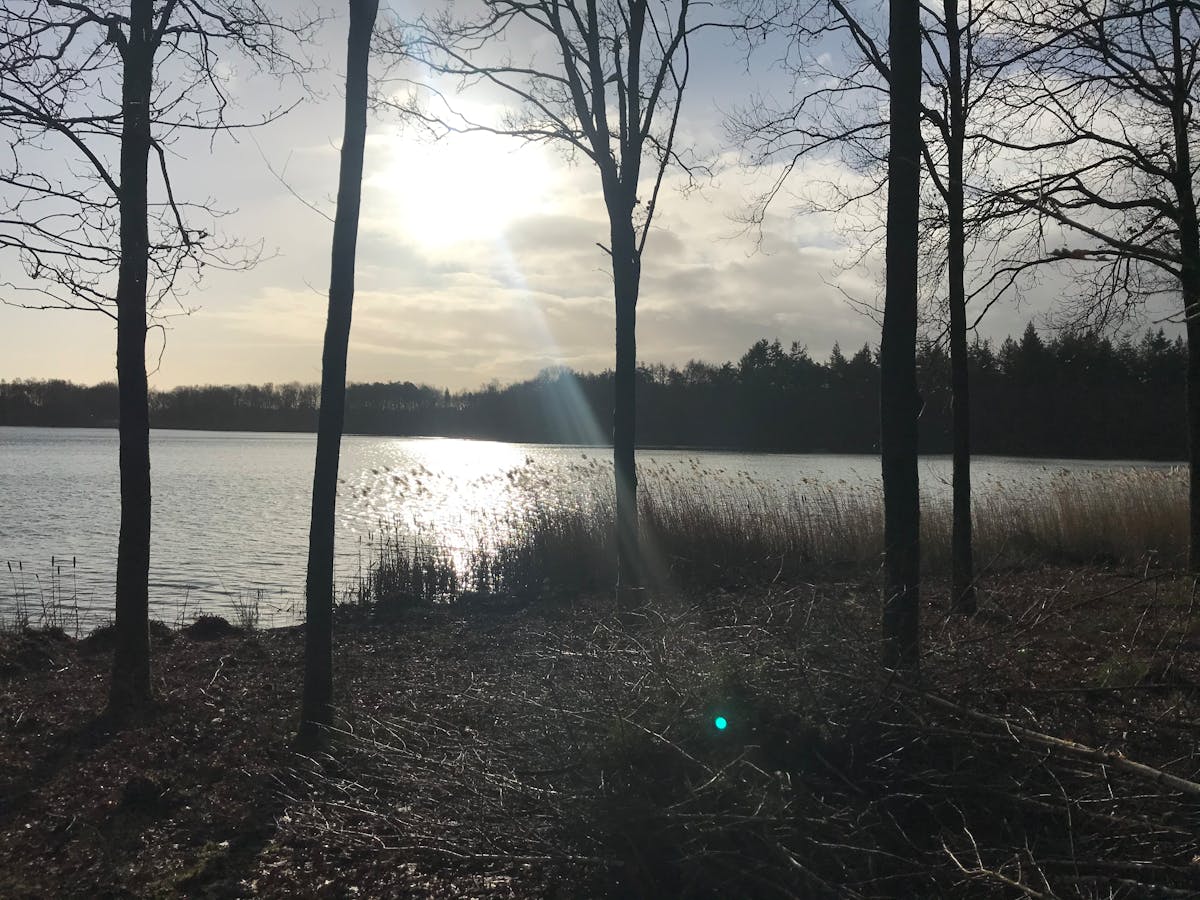 2026년 Jenkins SSH 빌드 에이전트와 GitHub Actions 자체 호스팅 macOS Runner를 독점 원격 Mac에서 비교