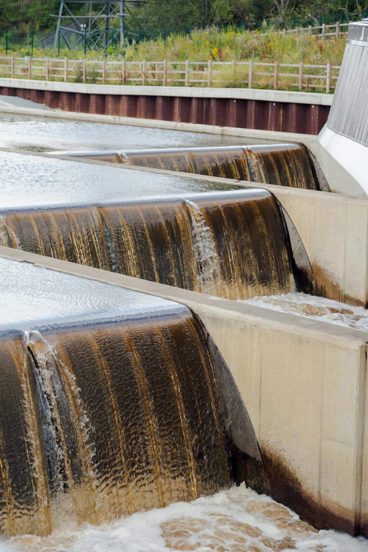 2026年 OpenClaw 安装路径 install.sh npm Docker Compose 对比